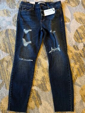 NWT! Eunina Distressed Skinny Jeans - Size 11
